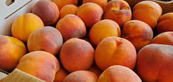 Peaches #1's 1/2 Bushel