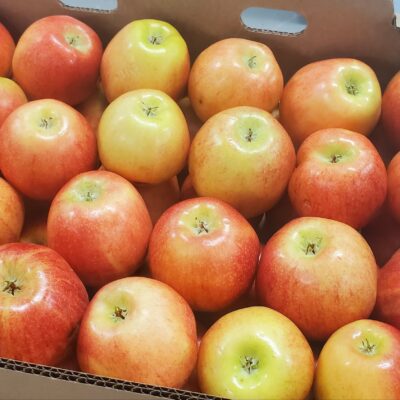 Gala Apples #2's 1/2 Bushel