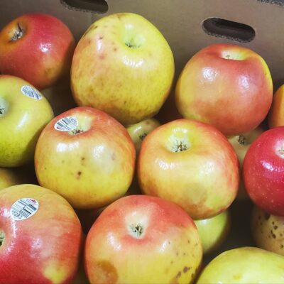 Honeycrisp Apples #2's 1/2 Bushel
