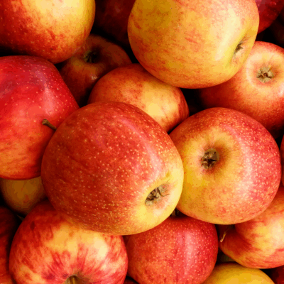 Gala Apples Orchard Run 1/2 Bushel
